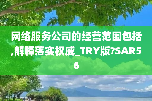 网络服务公司的经营范围包括,解释落实权威_TRY版?SAR56