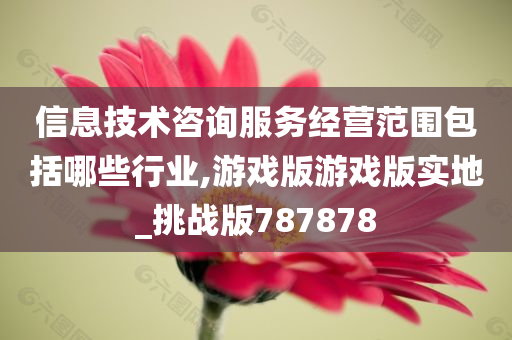 信息技术咨询服务经营范围包括哪些行业,游戏版游戏版实地_挑战版787878