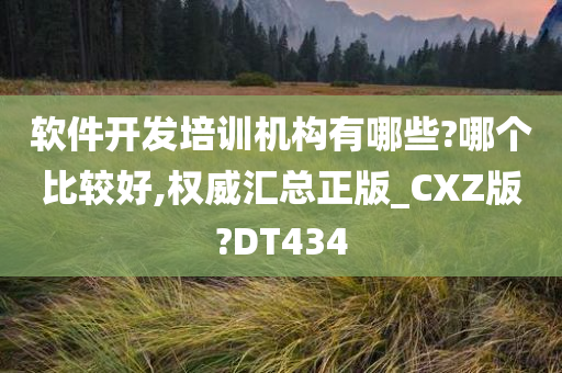 软件开发培训机构有哪些?哪个比较好,权威汇总正版_CXZ版?DT434