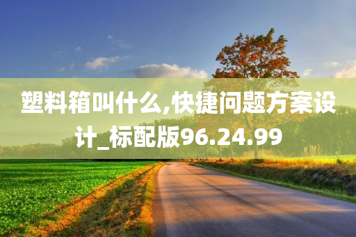 塑料箱叫什么,快捷问题方案设计_标配版96.24.99