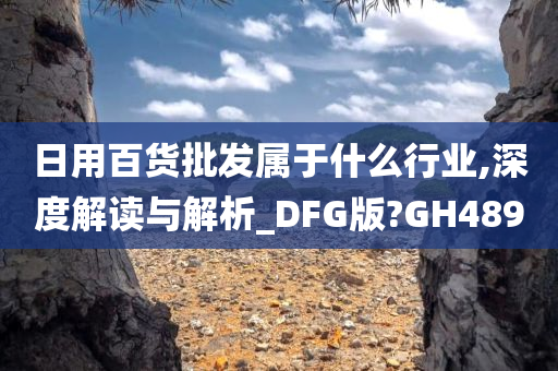 日用百货批发属于什么行业,深度解读与解析_DFG版?GH489