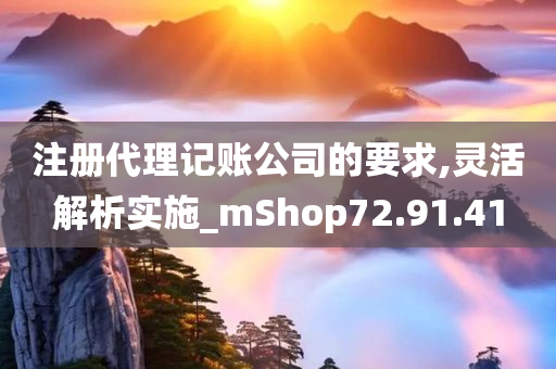 注册代理记账公司的要求,灵活解析实施_mShop72.91.41