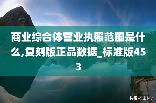 商业综合体营业执照范围是什么,复刻版正品数据_标准版453