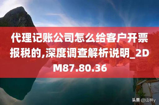 代理记账公司怎么给客户开票报税的,深度调查解析说明_2DM87.80.36