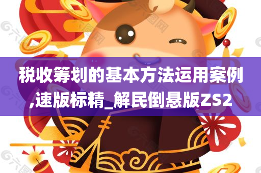 税收筹划的基本方法运用案例,速版标精_解民倒悬版ZS2