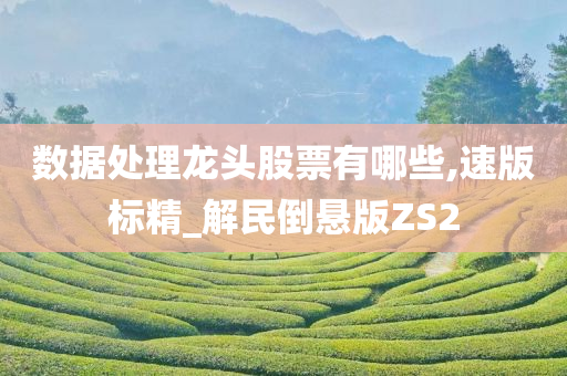 数据处理龙头股票有哪些,速版标精_解民倒悬版ZS2