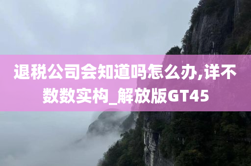 退税公司会知道吗怎么办,详不数数实构_解放版GT45