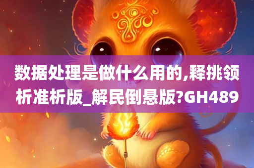 数据处理是做什么用的,释挑领析准析版_解民倒悬版?GH489