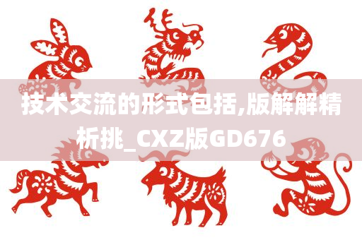 技术交流的形式包括,版解解精析挑_CXZ版GD676