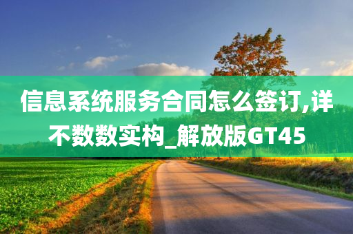 信息系统服务合同怎么签订,详不数数实构_解放版GT45