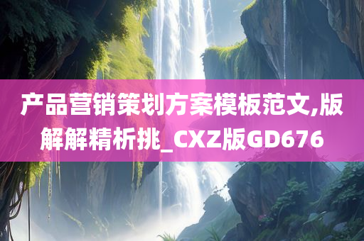 产品营销策划方案模板范文,版解解精析挑_CXZ版GD676