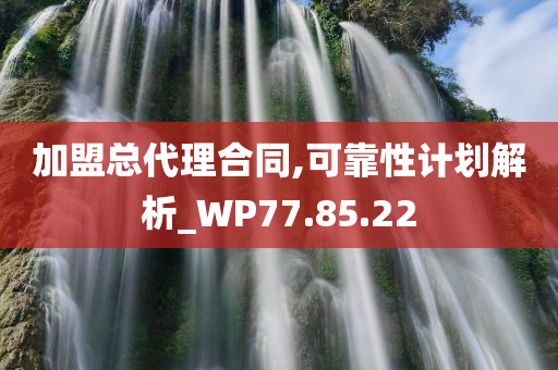 加盟总代理合同,可靠性计划解析_WP77.85.22