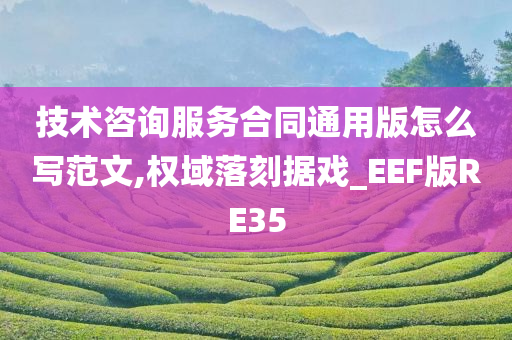 技术咨询服务合同通用版怎么写范文,权域落刻据戏_EEF版RE35