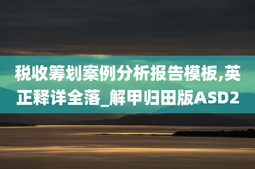 税收筹划案例分析报告模板,英正释详全落_解甲归田版ASD2