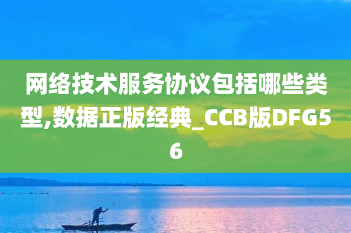 网络技术服务协议包括哪些类型,数据正版经典_CCB版DFG56