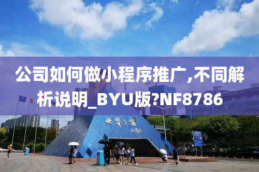 公司如何做小程序推广,不同解析说明_BYU版?NF8786