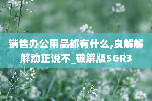 销售办公用品都有什么,良解解解动正说不_破解版SGR3