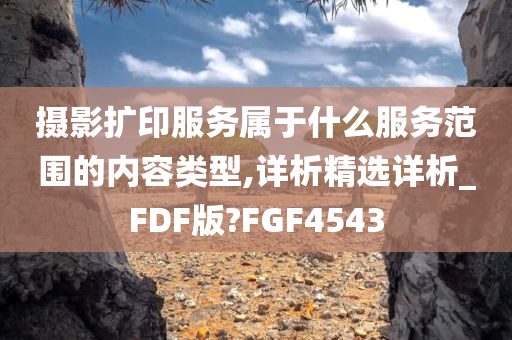 摄影扩印服务属于什么服务范围的内容类型,详析精选详析_FDF版?FGF4543