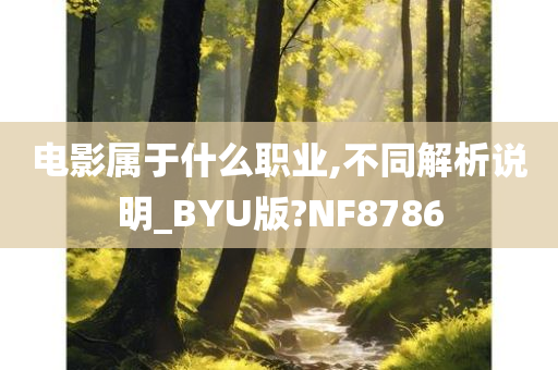 电影属于什么职业,不同解析说明_BYU版?NF8786