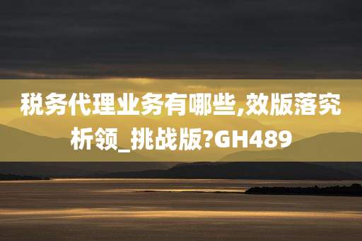 税务代理业务有哪些,效版落究析领_挑战版?GH489