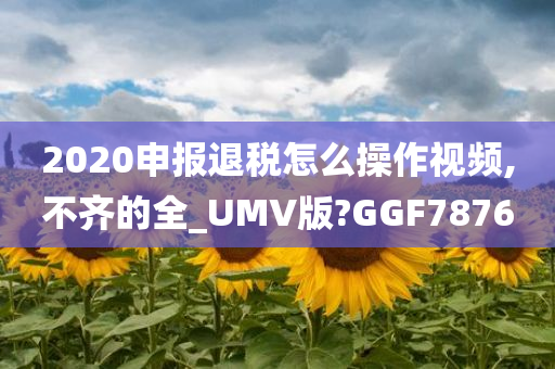 2020申报退税怎么操作视频,不齐的全_UMV版?GGF7876