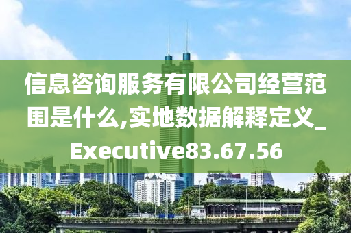 信息咨询服务有限公司经营范围是什么,实地数据解释定义_Executive83.67.56