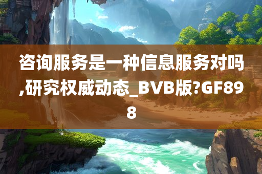 咨询服务是一种信息服务对吗,研究权威动态_BVB版?GF898