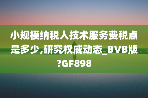 小规模纳税人技术服务费税点是多少,研究权威动态_BVB版?GF898