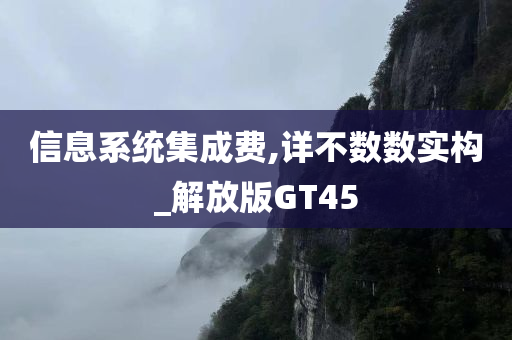 信息系统集成费,详不数数实构_解放版GT45