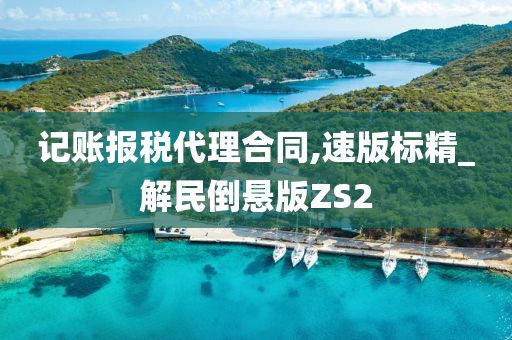 记账报税代理合同,速版标精_解民倒悬版ZS2