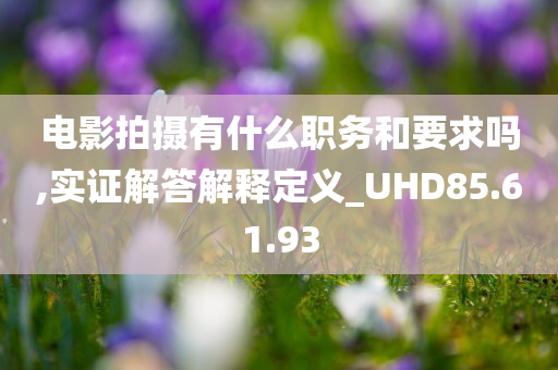 电影拍摄有什么职务和要求吗,实证解答解释定义_UHD85.61.93