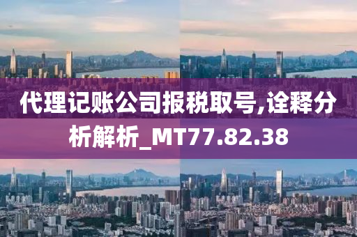 代理记账公司报税取号,诠释分析解析_MT77.82.38