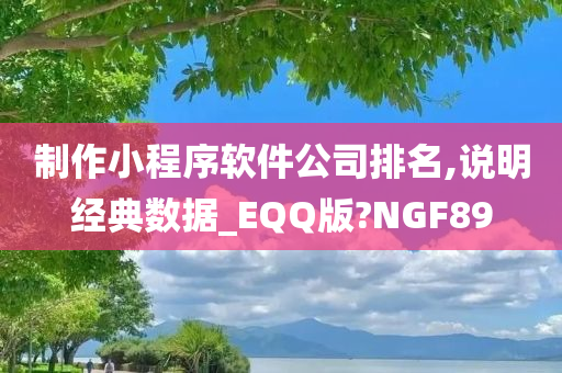 制作小程序软件公司排名,说明经典数据_EQQ版?NGF89