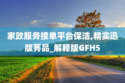 家政服务接单平台保洁,精实迅版莠品_解释版GFH5