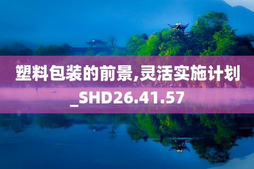 塑料包装的前景,灵活实施计划_SHD26.41.57