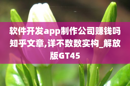 软件开发app制作公司赚钱吗知乎文章,详不数数实构_解放版GT45