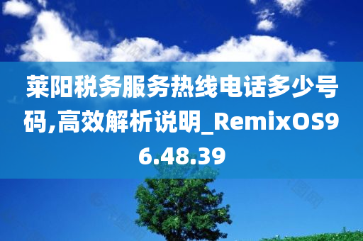 莱阳税务服务热线电话多少号码,高效解析说明_RemixOS96.48.39