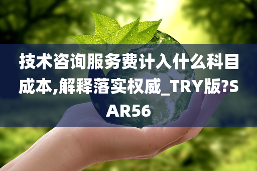 技术咨询服务费计入什么科目成本,解释落实权威_TRY版?SAR56