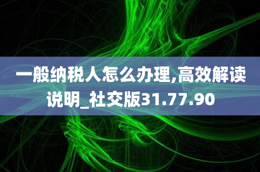 一般纳税人怎么办理,高效解读说明_社交版31.77.90