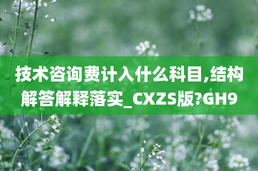 技术咨询费计入什么科目,结构解答解释落实_CXZS版?GH9