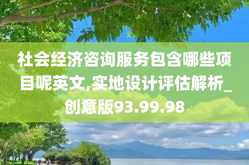 社会经济咨询服务包含哪些项目呢英文,实地设计评估解析_创意版93.99.98