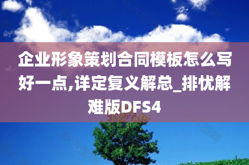 企业形象策划合同模板怎么写好一点,详定复义解总_排忧解难版DFS4