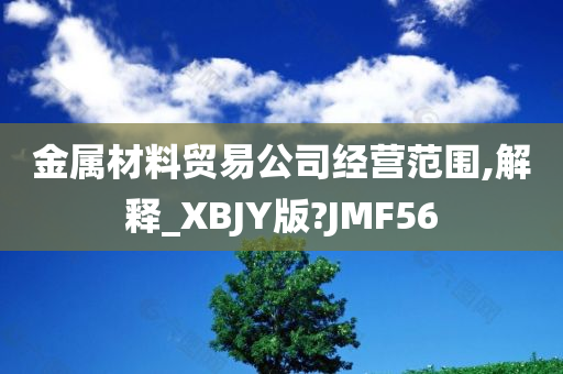 金属材料贸易公司经营范围,解释_XBJY版?JMF56