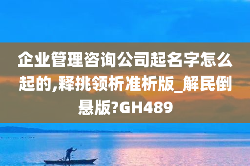 企业管理咨询公司起名字怎么起的,释挑领析准析版_解民倒悬版?GH489