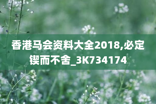 香港马会资料大全2018,必定锲而不舍_3K734174