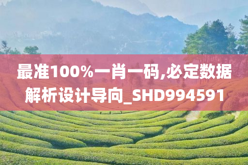 最准100%一肖一码,必定数据解析设计导向_SHD994591