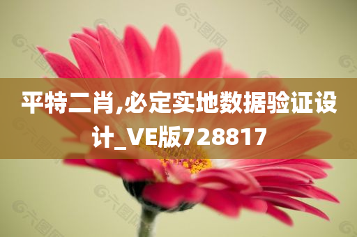 平特二肖,必定实地数据验证设计_VE版728817