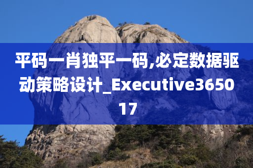 平码一肖独平一码,必定数据驱动策略设计_Executive365017