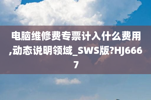 电脑维修费专票计入什么费用,动态说明领域_SWS版?HJ6667