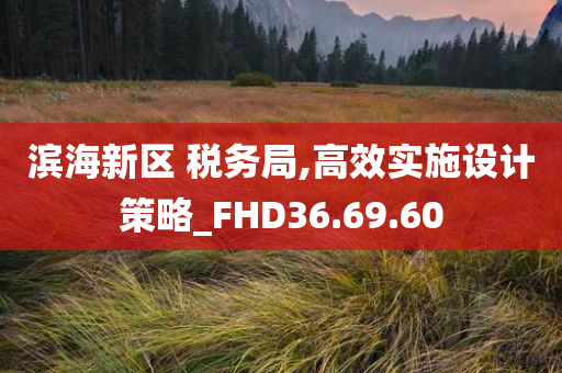 滨海新区 税务局,高效实施设计策略_FHD36.69.60